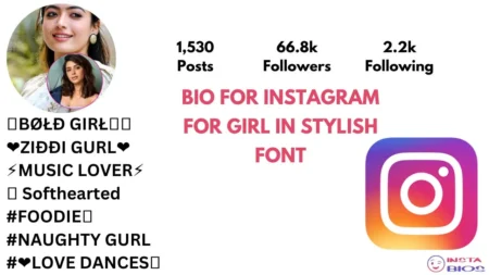 Bio For Instagram For Girl In Stylish Font