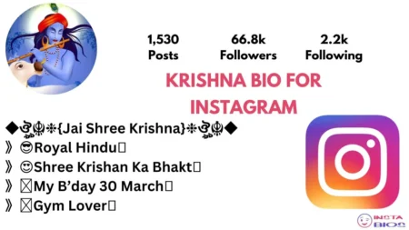 Krishna Bio For Instagram